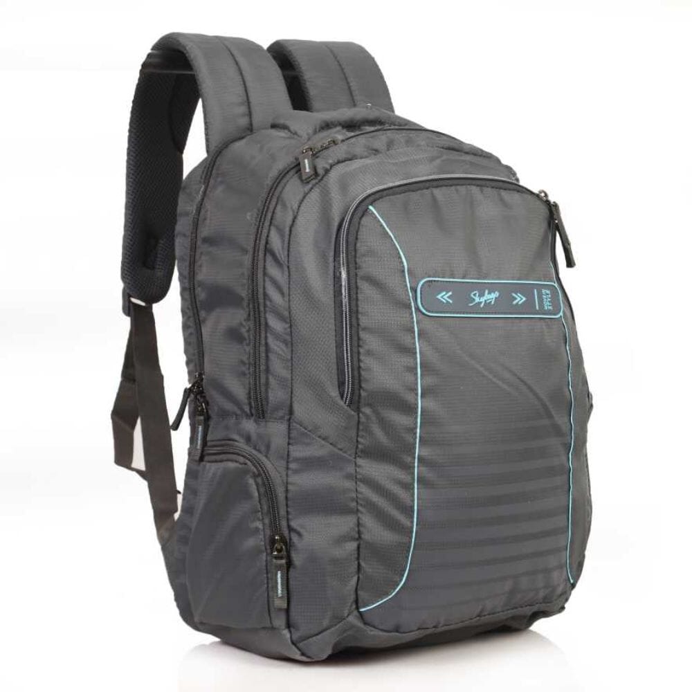 skybags fox backpack