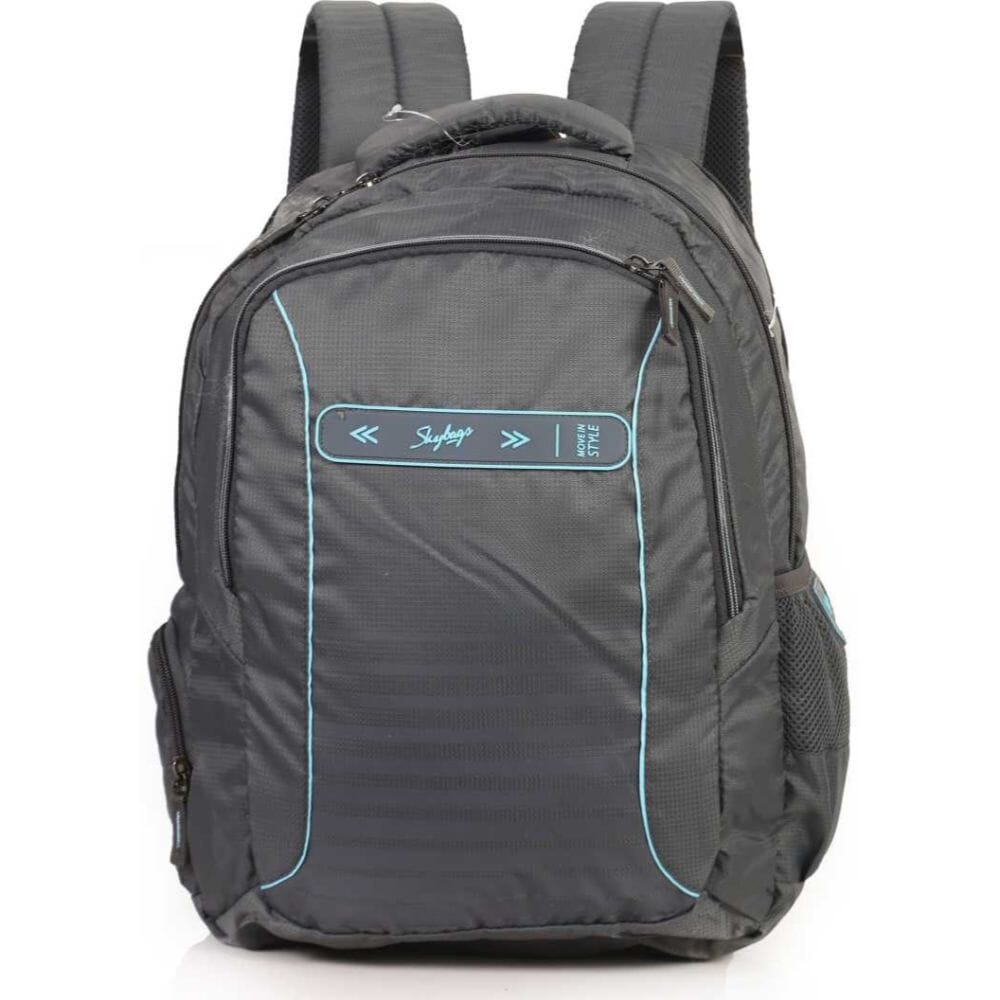 skybags large size backpack